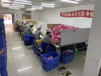 CE