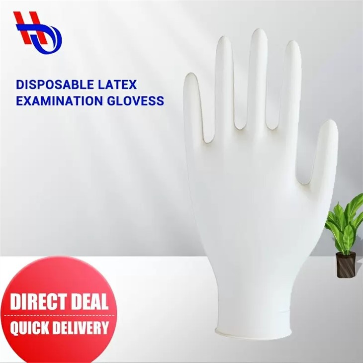Disposable Latex Exam Gloves